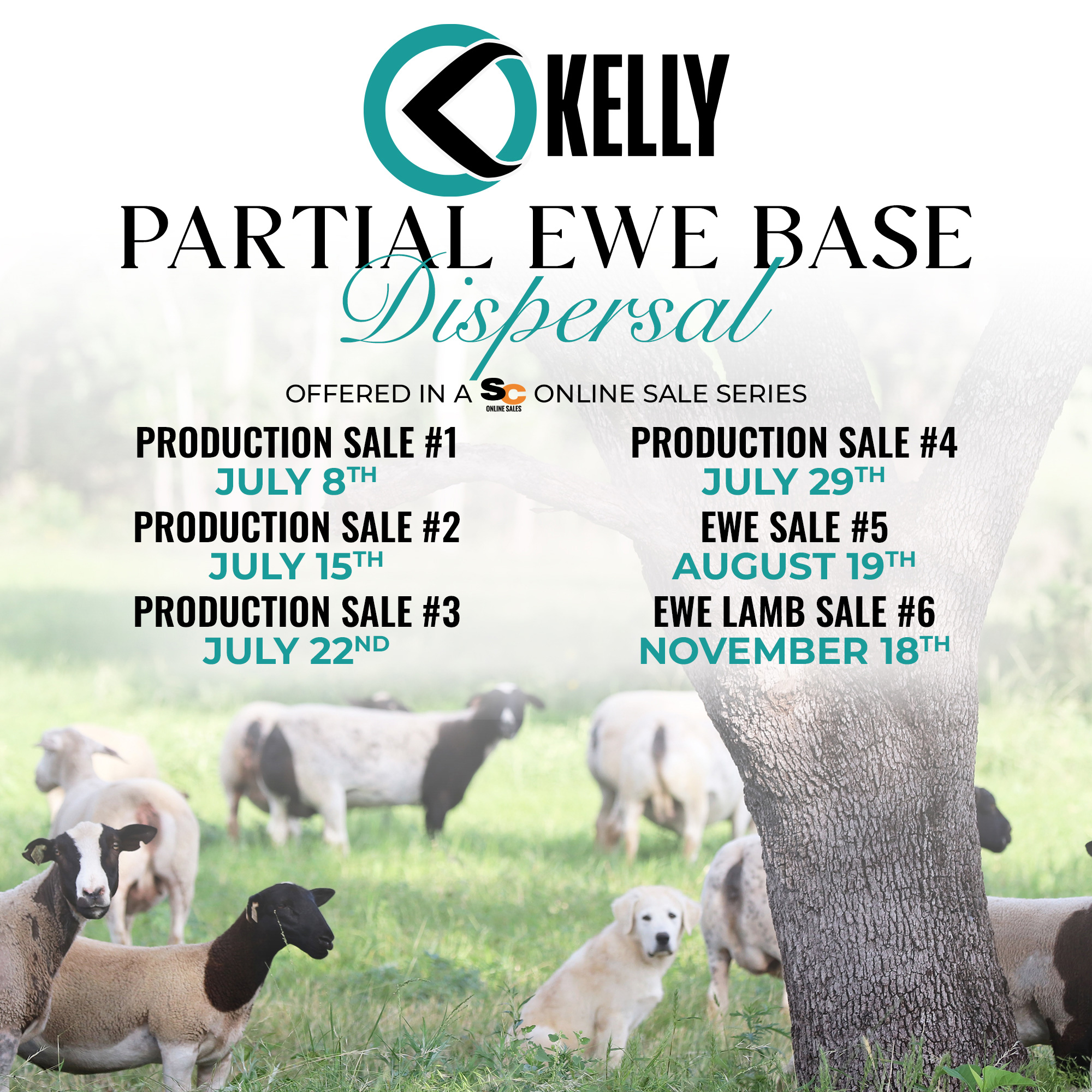 Partial Ewe Base Dispersal